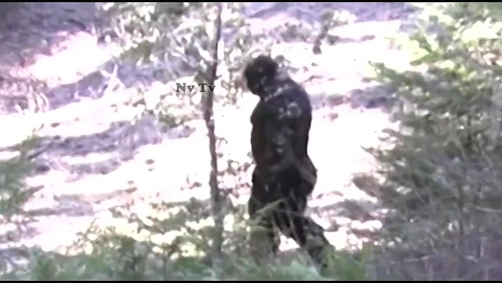 Watch Video Claims To Show New Sighting Of Bigfoot In Idaho
