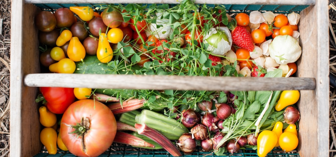 Vegetables That Thrive In Low Sunlight A Guide To Shade Tolerant Varieties