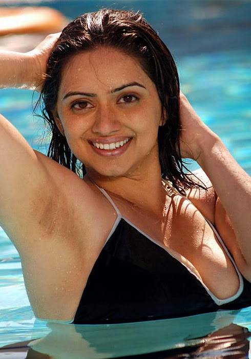 South Actress Hema Malini Bikini Photos Hot Sex Picture