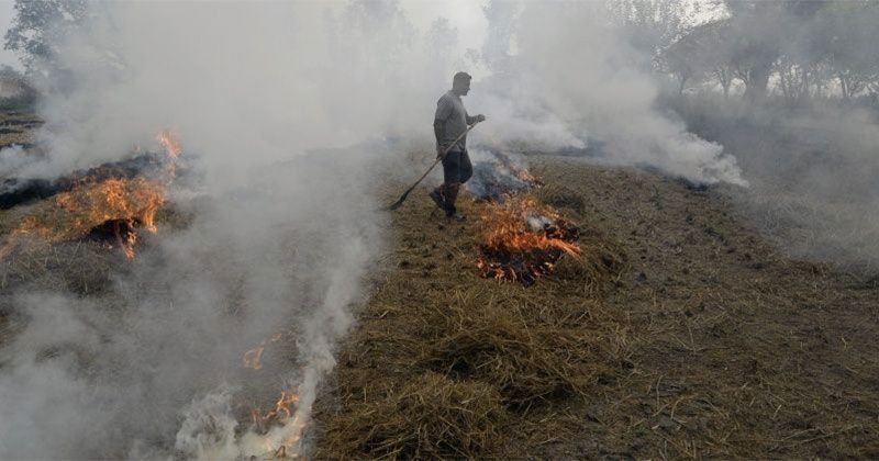 Stubble Burning In Haryana Punjab Is The Biggest Culprit For Poor Air