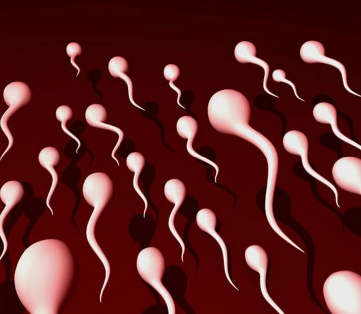 Should sperm be different sizes