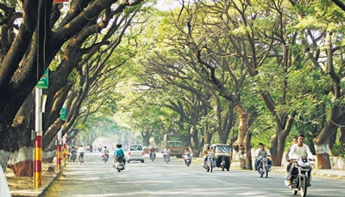 Government To Announce Rs Crore Green Fund To Plant Trees Along