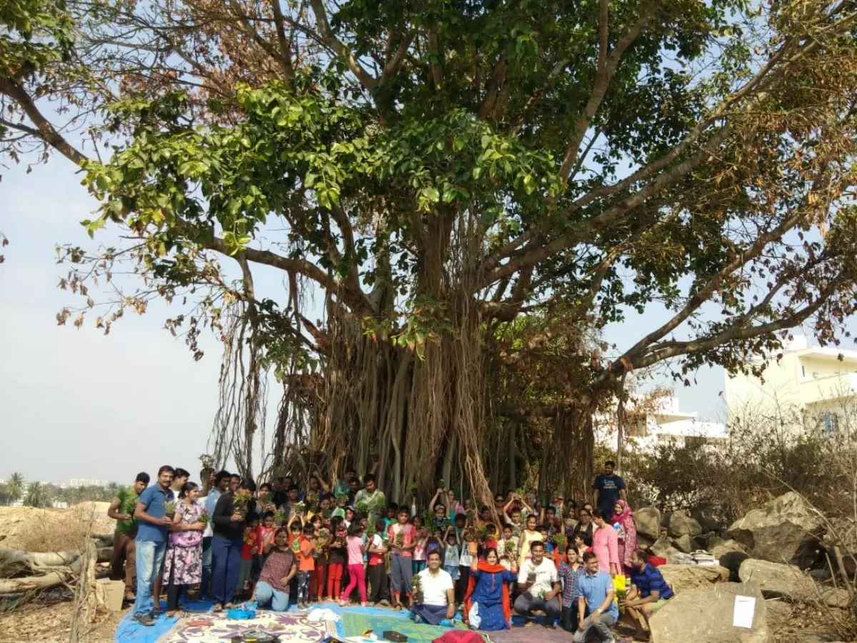 Bengaluru Has Saved Two Banyan Trees By Building A Park Around Them, Thanks To Public Protests