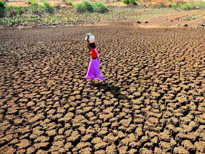 drought maharashtra