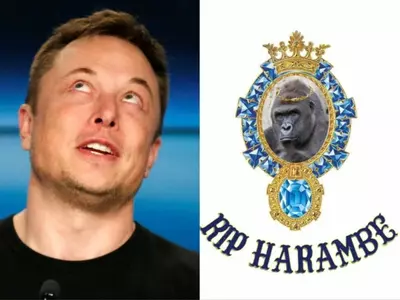 Elon Musk Harambe