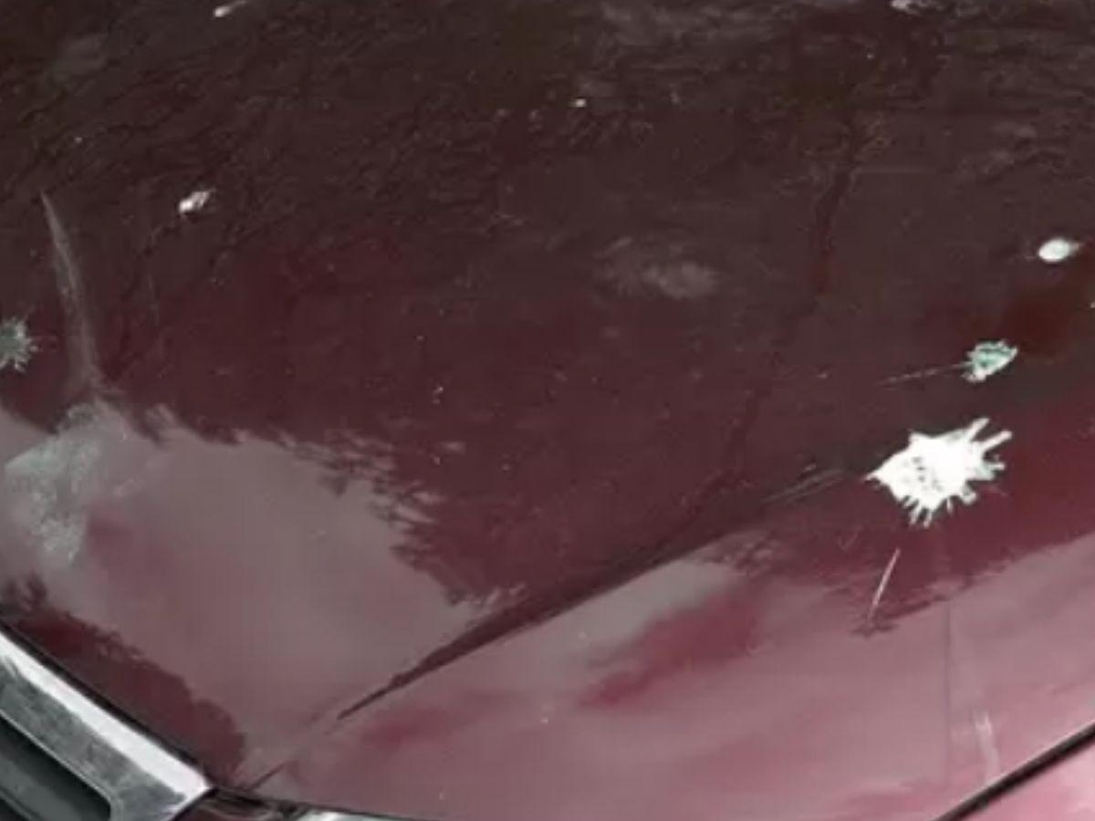 Charges dropped against quarterback after bird poop on his car