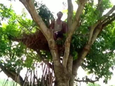 Odisha Tree House,