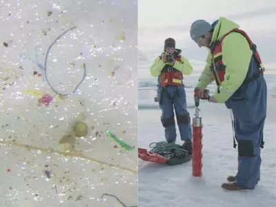 plastic pollution Arctic