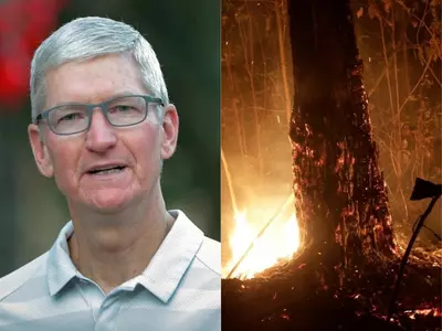 Tim Cook wildfires