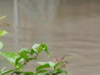 Abhineet Mishra on Assam floods
