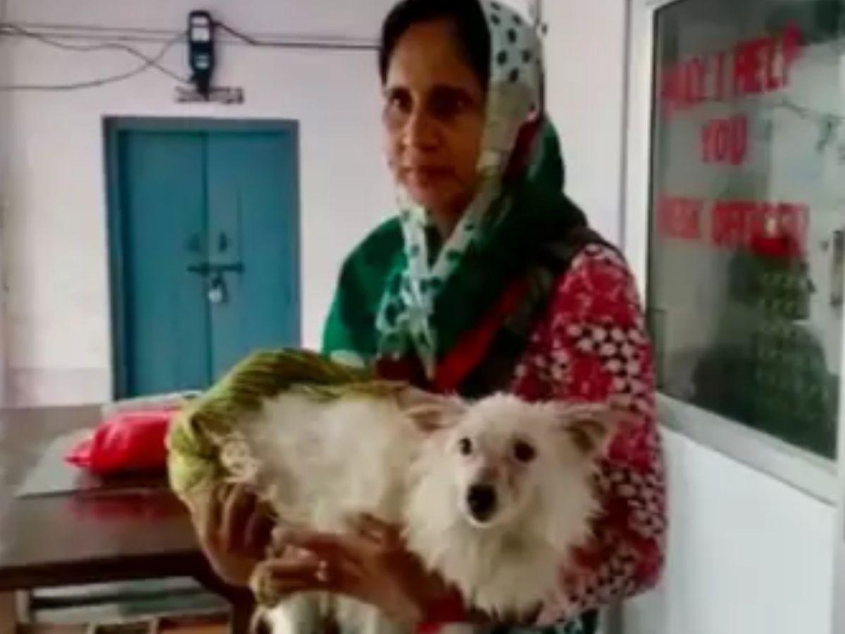 Who Is The Animal? Three Men In Agra Kidnap Neighbour's Pet Dog, Take Turns  To Rape It