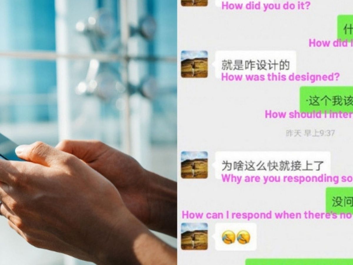 Chinese Software Engineer