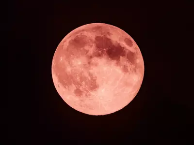 strawberry moon, honey moon, mead moon, how to see strawberry moon, how to see red moon