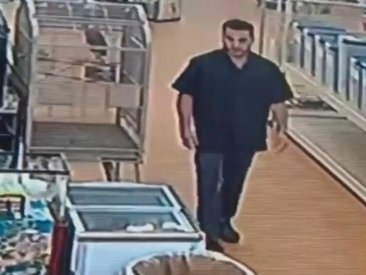 What A Slithering Idiot: Man Steals 4-Foot-Long Python Named Pasta By ...