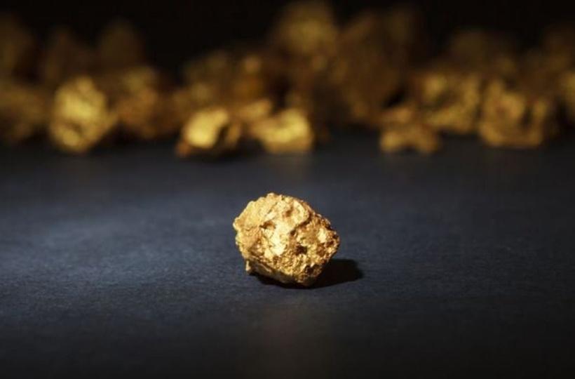 Family finds gold nugget worth $24,000 while walking their dog