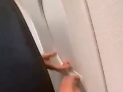 Airplane fight