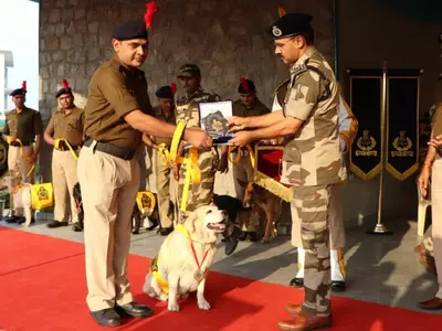 CISF dogs