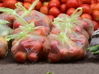 Kerala Govt Bans Single Use Plastic From Jan 1