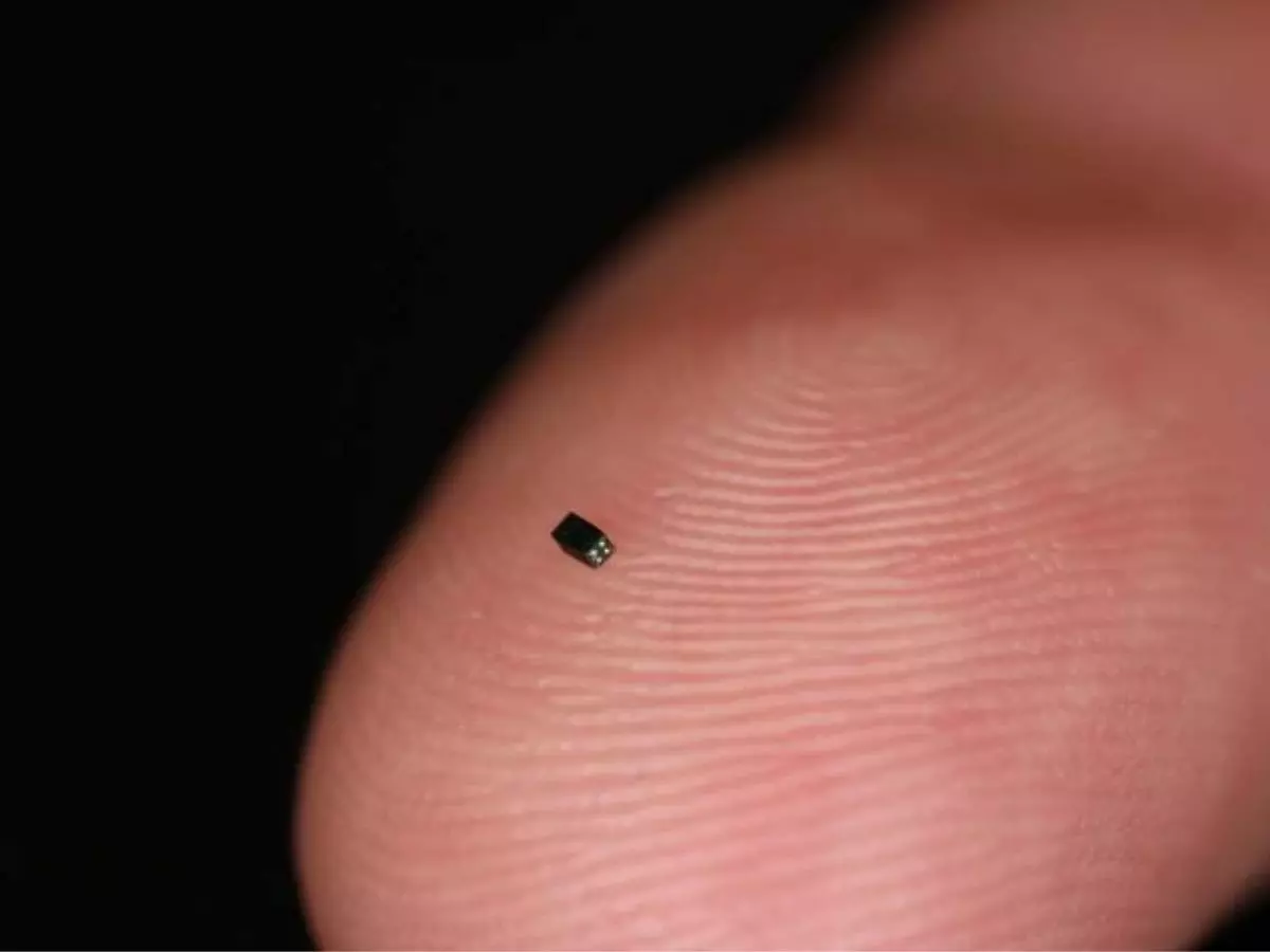 This is The World's Smallest Video Camera and It's The Size of a Grain of  Sand — GeekTyrant