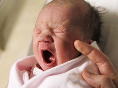 Sinuses play role in brain cooling driven by yawning