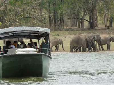 Kabini: Wild, peaceful and all in between