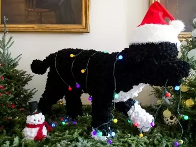 Pup Power: Adorable First Dog Inspects White House
