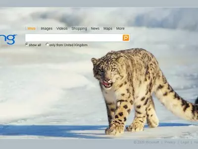 Beware! Bing Most 'Poisonous' Search Engine