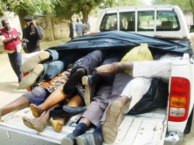 Army-Jihadi Clash Kills 187 in Nigeria