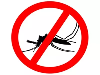 Healthy Summers: A Quick Malaria Prevention Guide