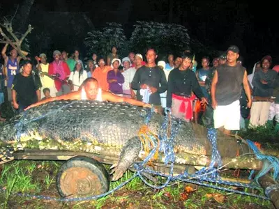 World's Largest Crocodile Dies in Philippines