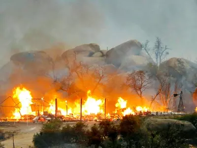 19 Firefighters Die Battling US Fire