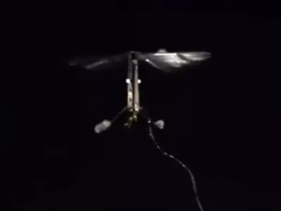 Fly-Sized Robot takes First Flight