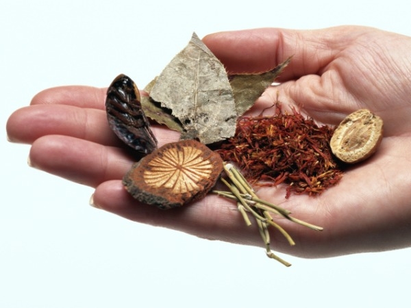 blood cleansing herbs