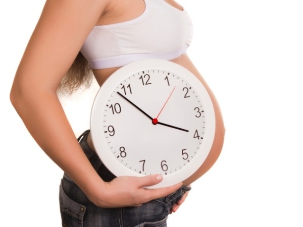 conception to due date conception to due date