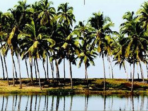 Eden, Kerala