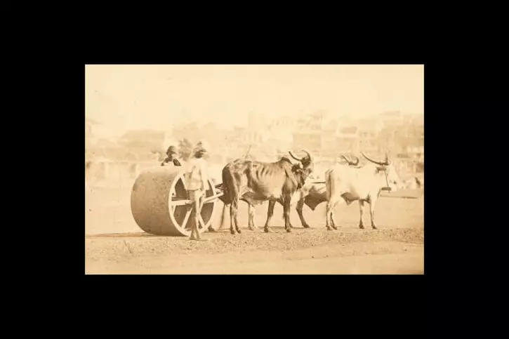 roller roller