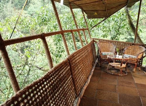 14 Tree Houses In India Where You Can Feel At One With Nature And