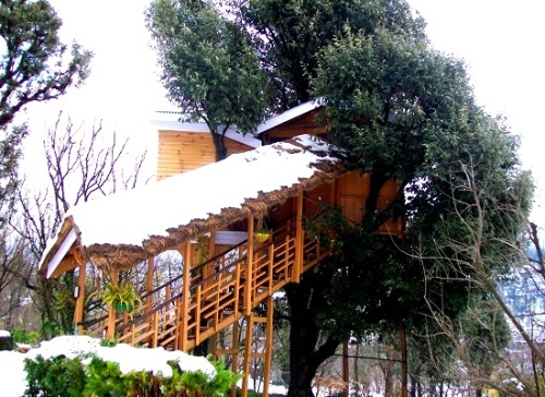 14 Tree Houses In India Where You Can Feel At One With Nature And