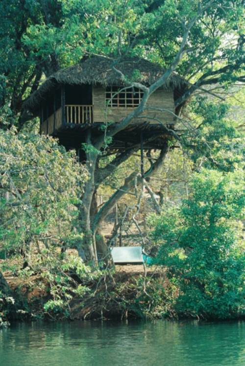 14 Tree Houses In India Where You Can Feel At One With Nature And