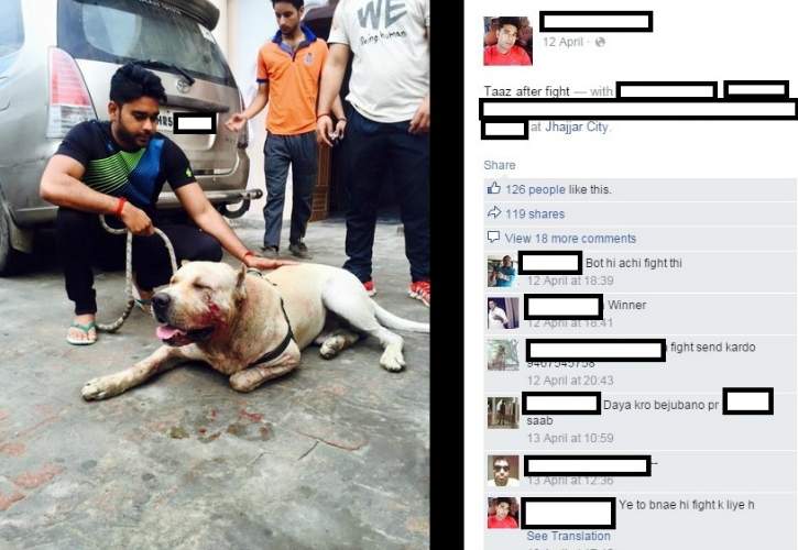 surender dagar dog fight
