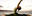 yoga big ImagePlay N Live