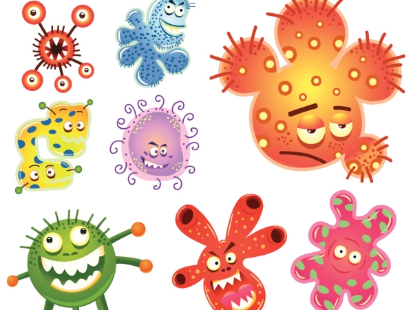 what exactly are germs healthy living indiatimes com germs com