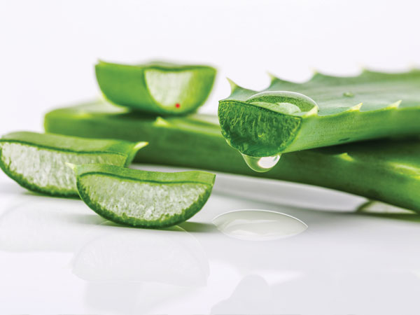 aloe vera benefits for uterus