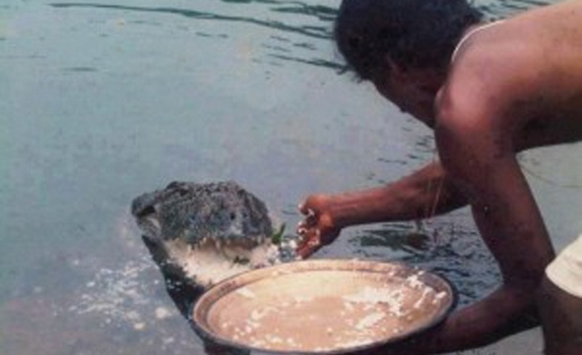 Meet Babiya, The Vegetarian Crocodile Who Guards A Temple In Kerala!