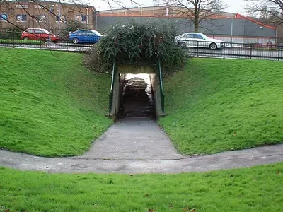 underpasses for animals