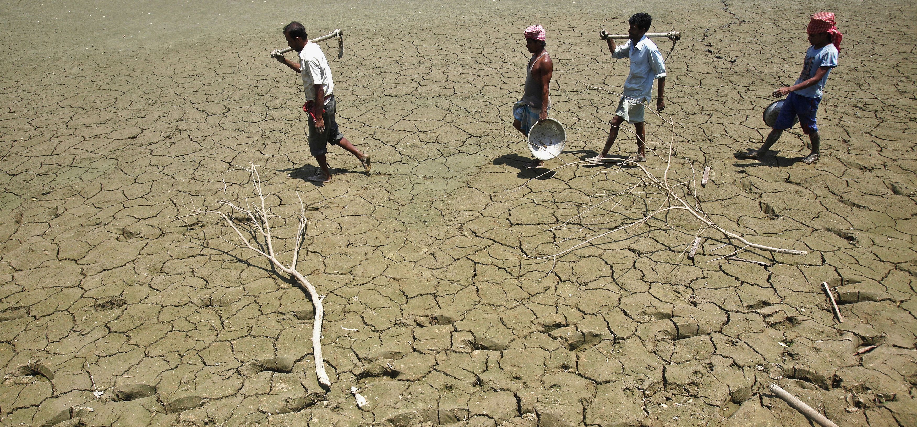 Семья с потеряла по причине засушливого лета. Засуха в Индии 2012.
