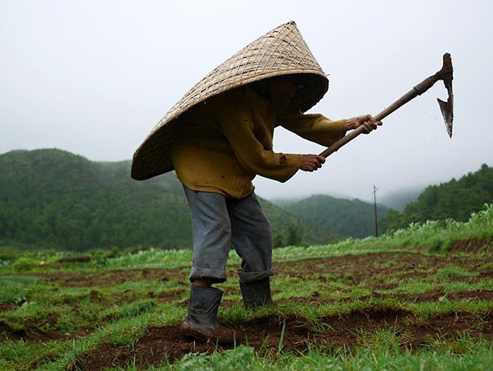 ________ receives the highest average annual rainfall in the world. - Mawsynram