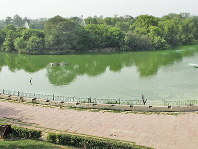 Delhi Dealing With A Drought Of Its Own, City's Ponds And Marshes May Soon Be History