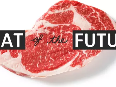 meat of the future via vox