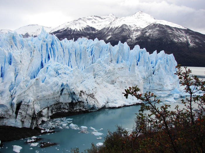 Uttarakhand Forest Fires May Cause Faster Melting Of Himalayan Glaciers ...